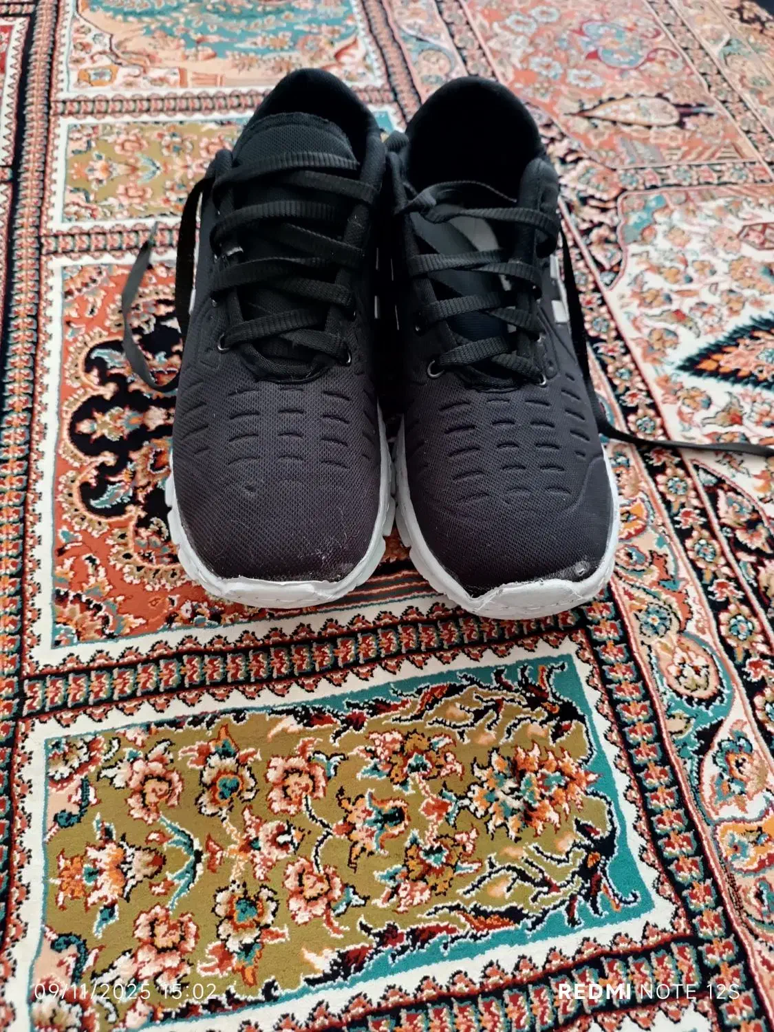 کفش|کیف، کفش، کمربند|بیرجند, |دیوار