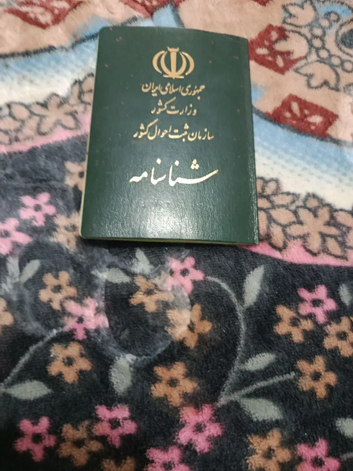 شناسنامه گم شده|اشیا|اصفهان, بهارستان|دیوار