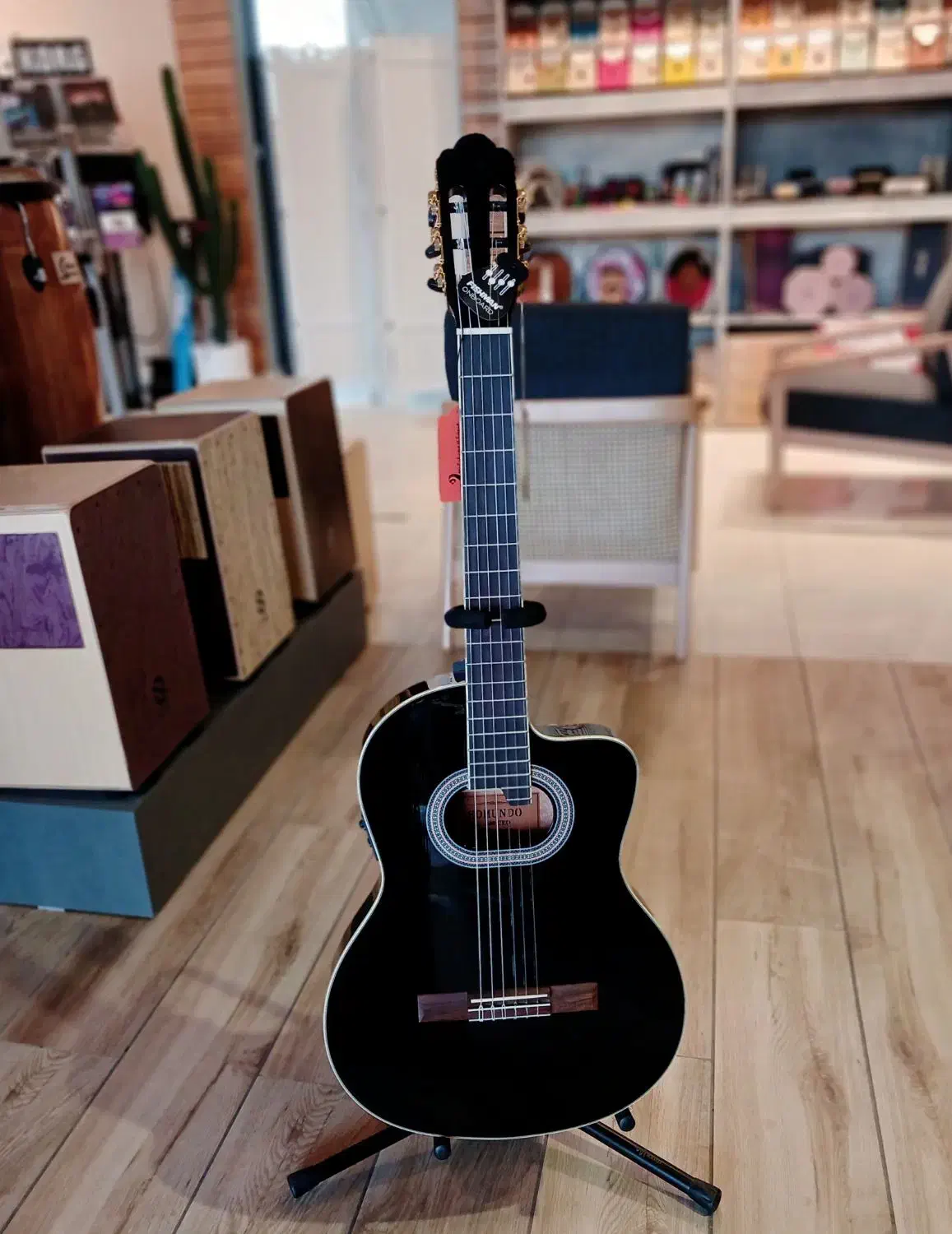 گیتار EDMUNDO|گیتار، بیس، امپلیفایر|قزوین, |دیوار