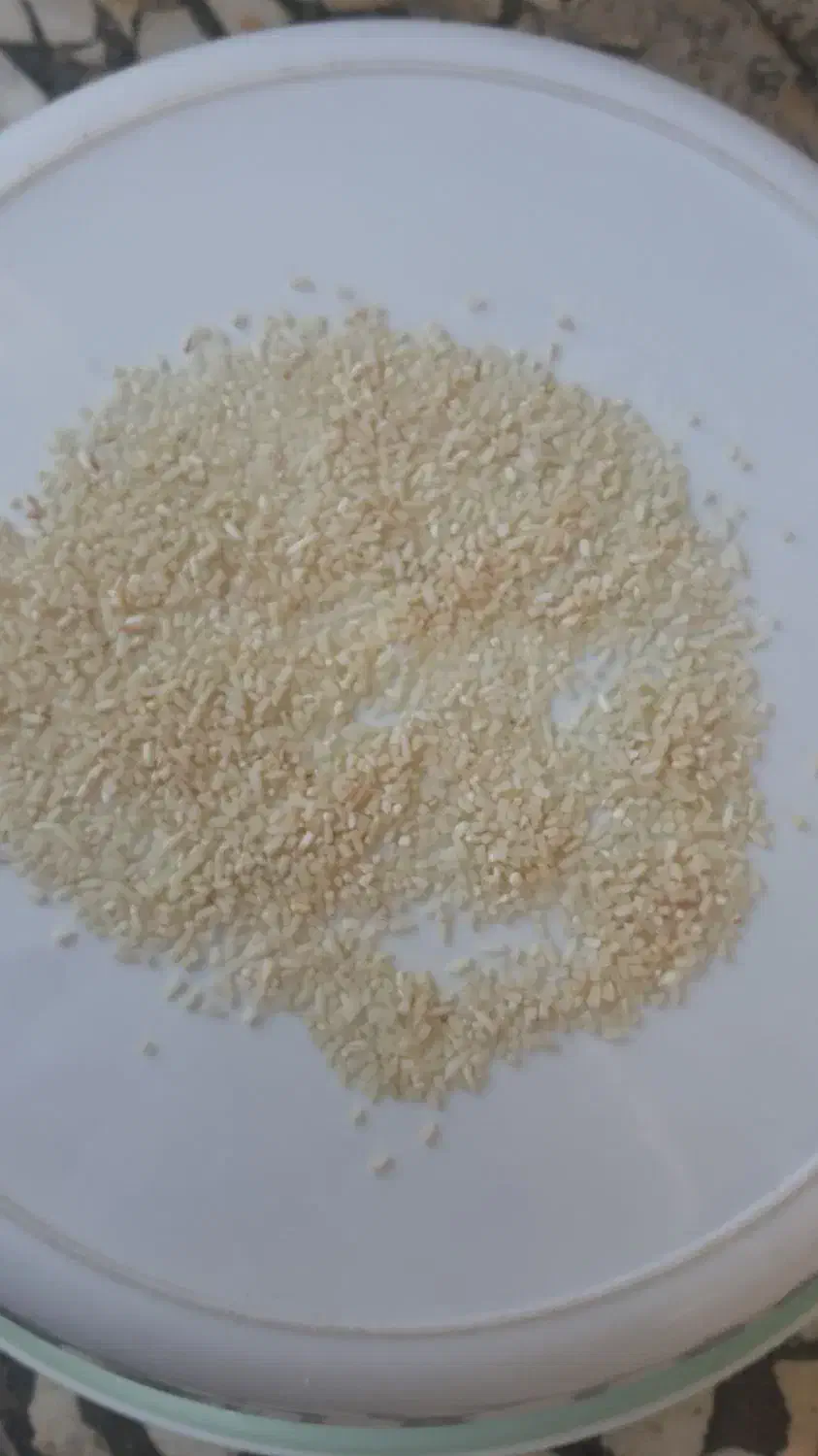 برنج نیم دانه هاشمی|خوردنی و آشامیدنی|کلاچای, |دیوار