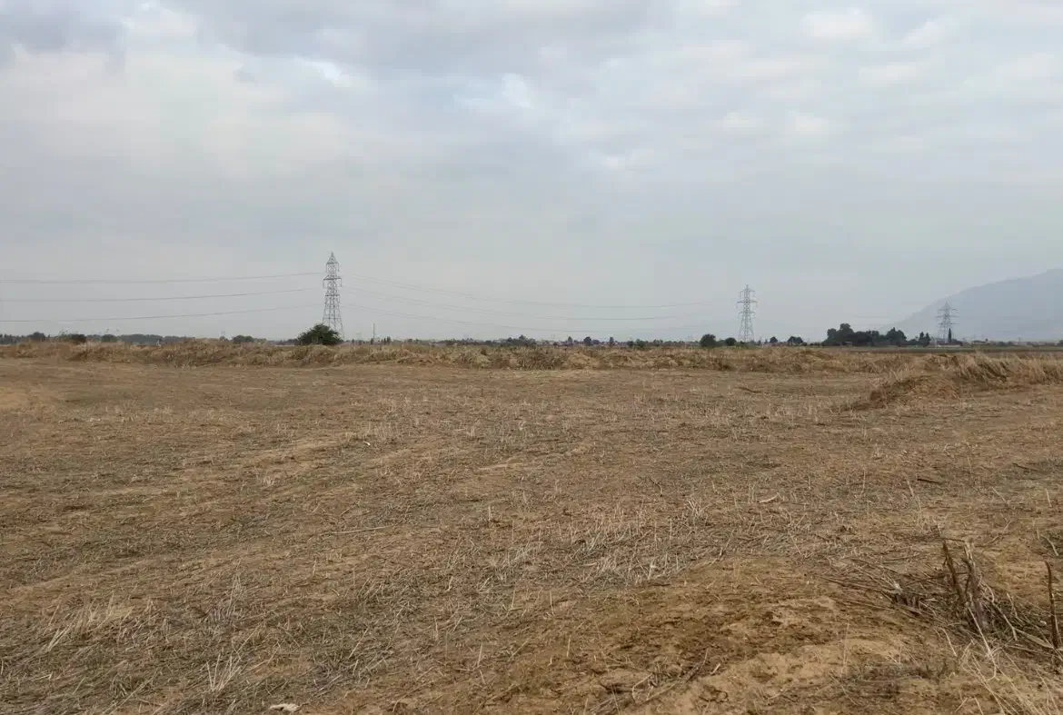 املاک زمین زراعی|فروش دفتر صنعتی، کشاورزی، تجاری|مینودشت, |دیوار