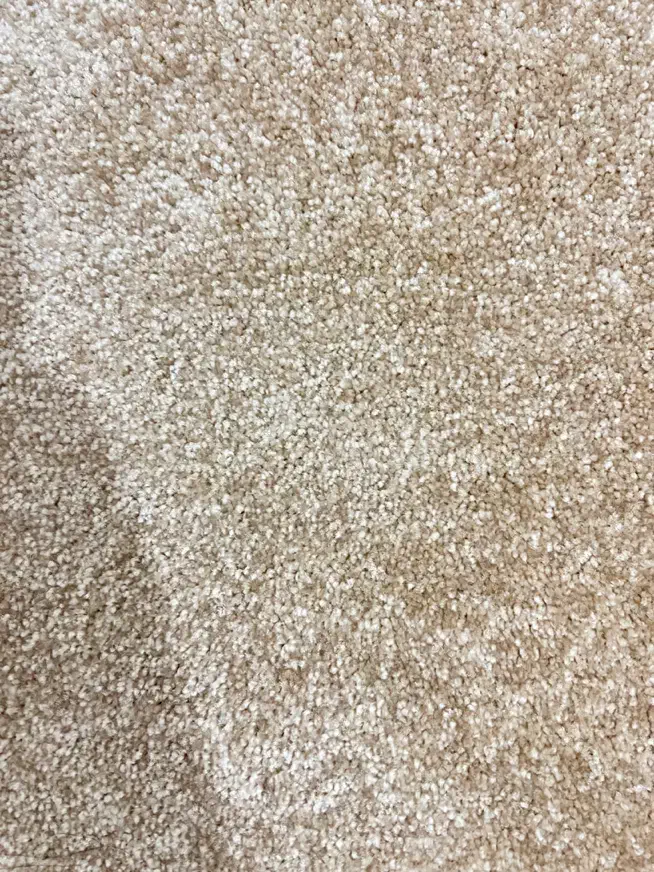 موکت پالاز ۱۲ متری|موکت|قم, پردیسان|دیوار