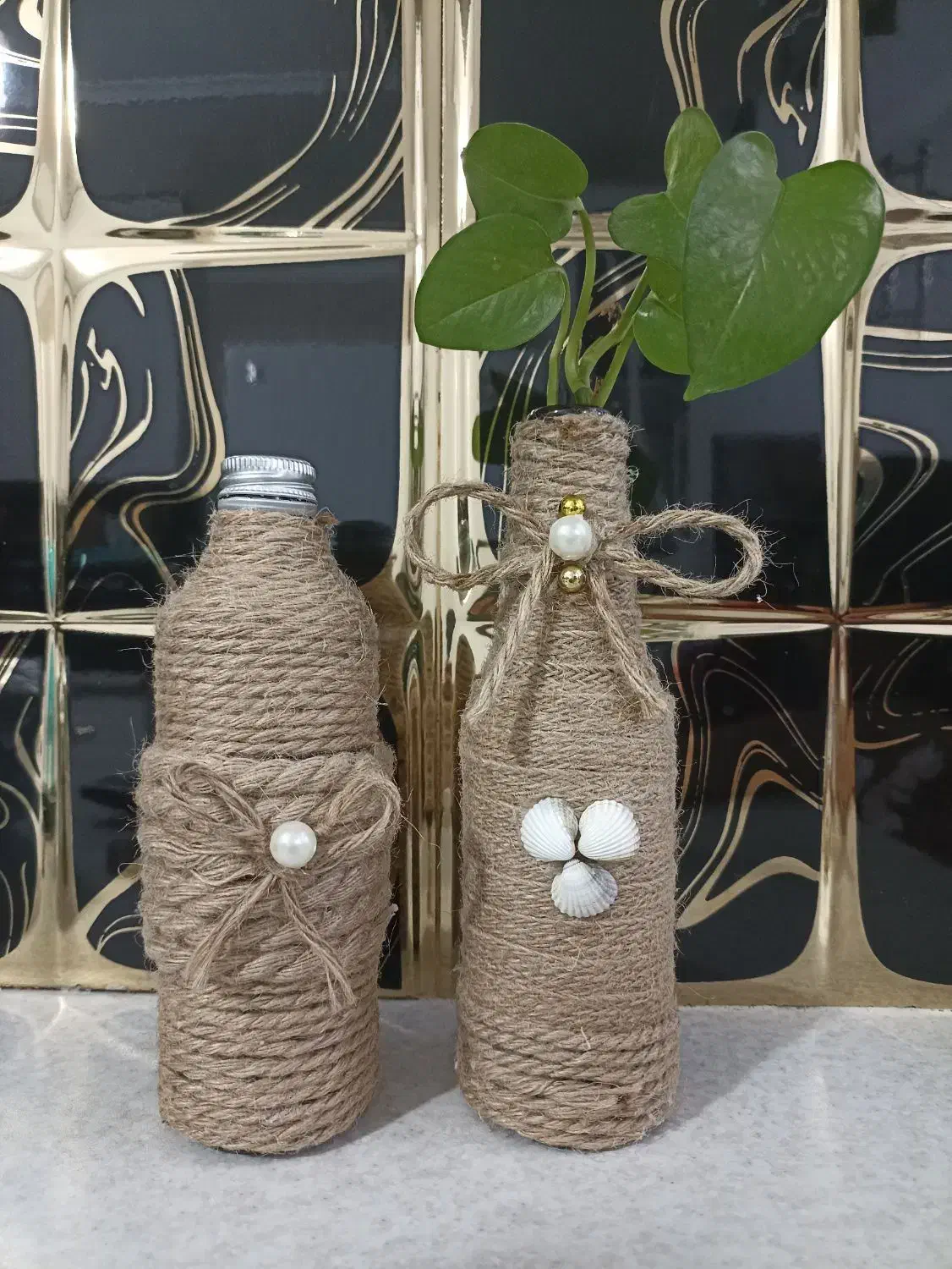 گل و گیاه|گل و گیاه طبیعی|قم, نوبهار|دیوار