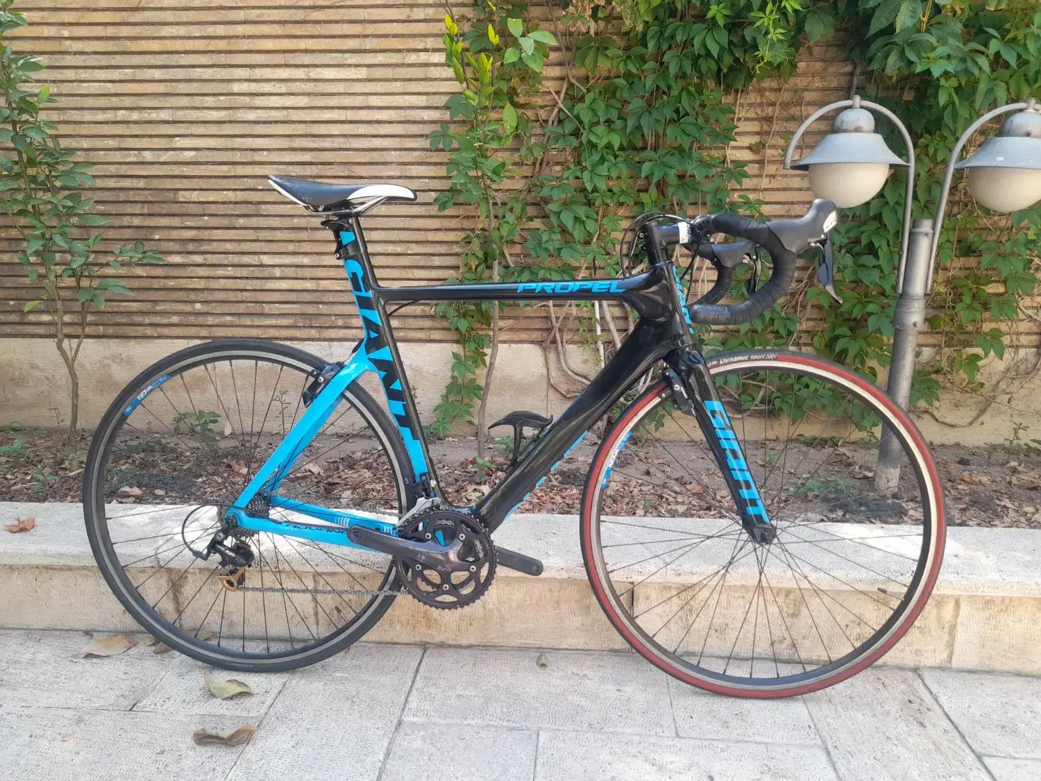 دوچرخه کورسی جاینت پراپل giant propel|دوچرخه، اسکیت، اسکوتر|تهران, ولنجک|دیوار