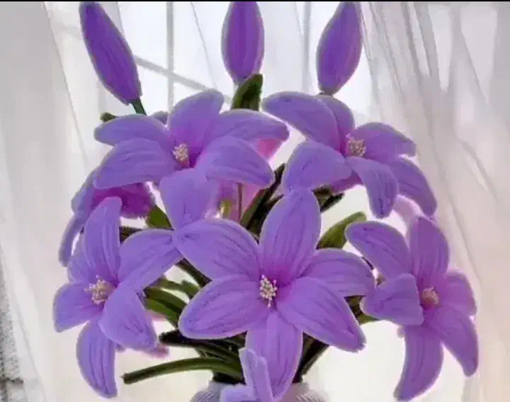 گل پیپ پاکن|زیورآلات و اکسسوری|قم, هفت تیر|دیوار