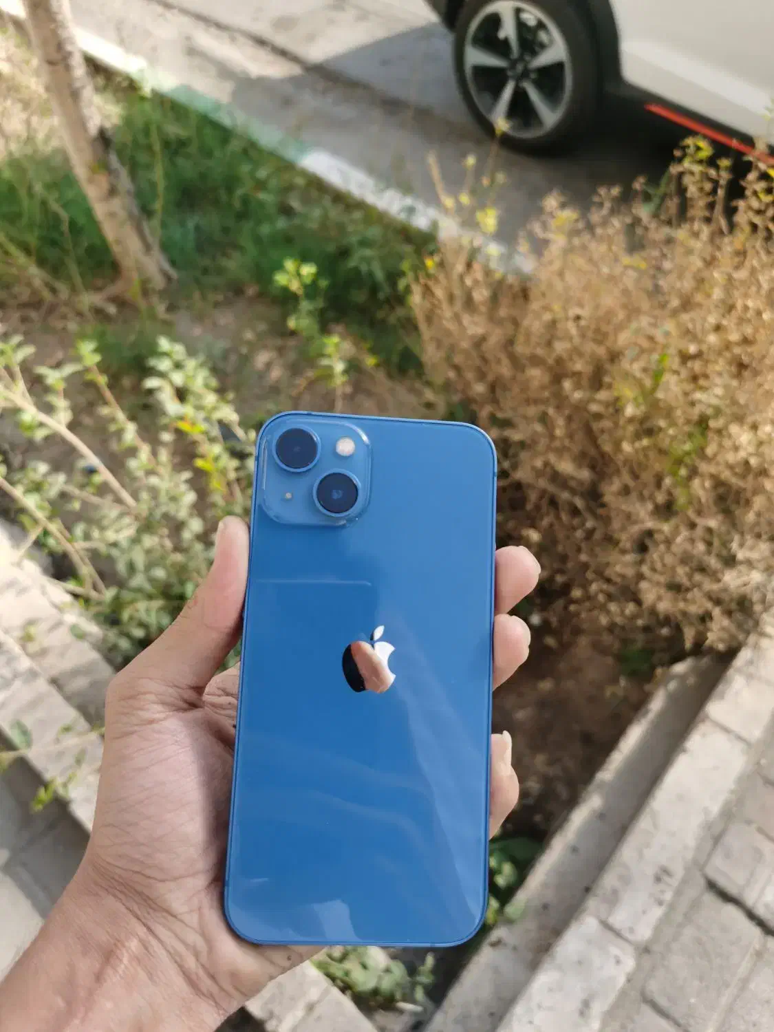 iPhone 13|موبایل|مشهد, کوثر|دیوار