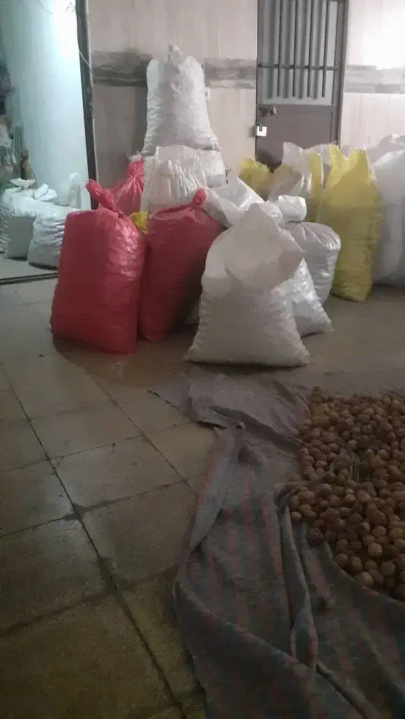 گردو بومی|خوردنی و آشامیدنی|فولادشهر, فولادشهر|دیوار