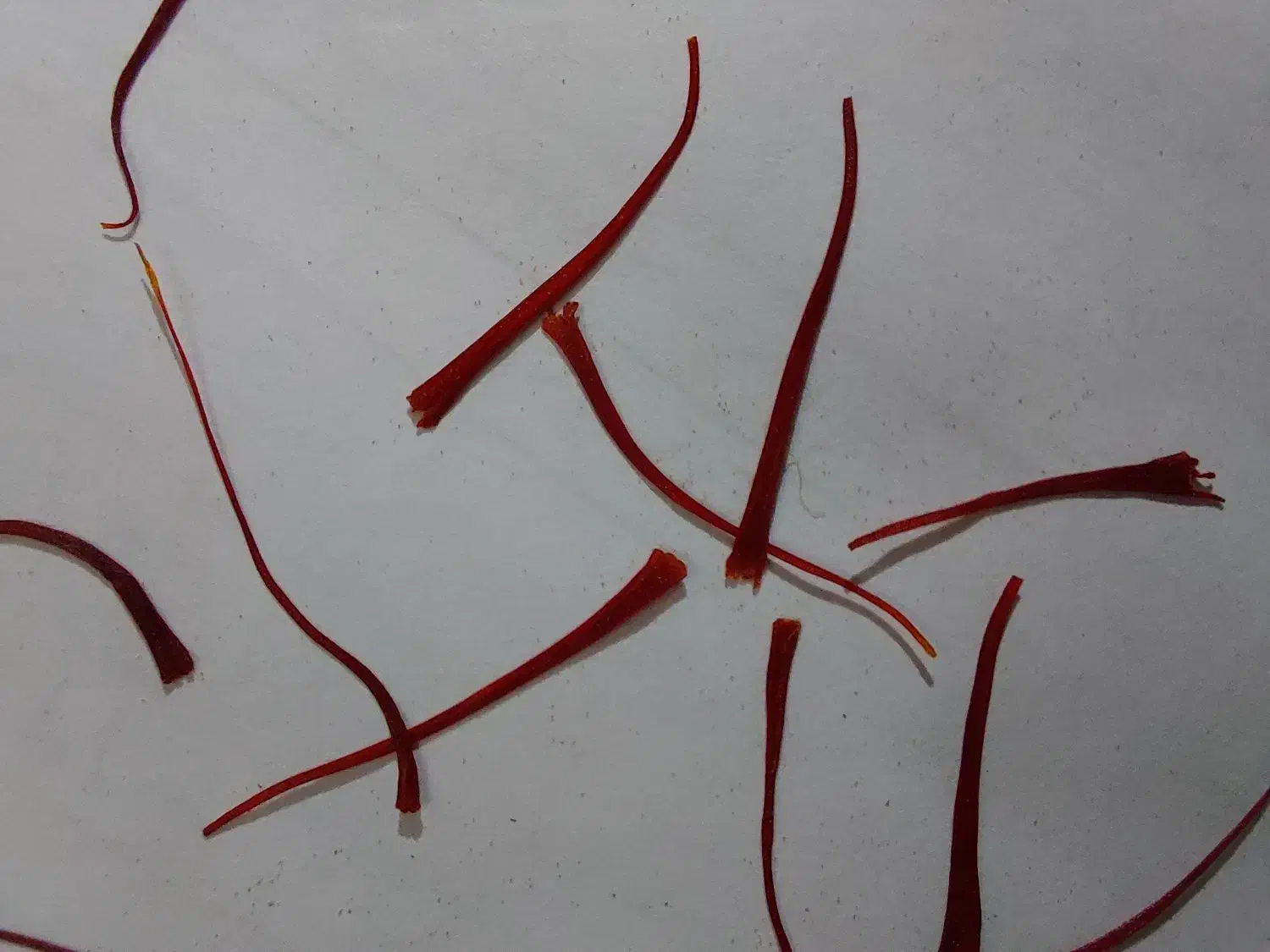 زعفران نگین سحر خیز|خوردنی و آشامیدنی|تهران, حکیمیه|دیوار