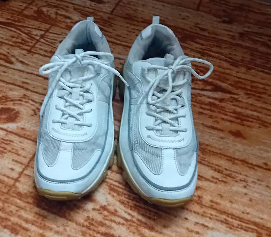 اسپورت|کیف، کفش، کمربند|یزد, |دیوار