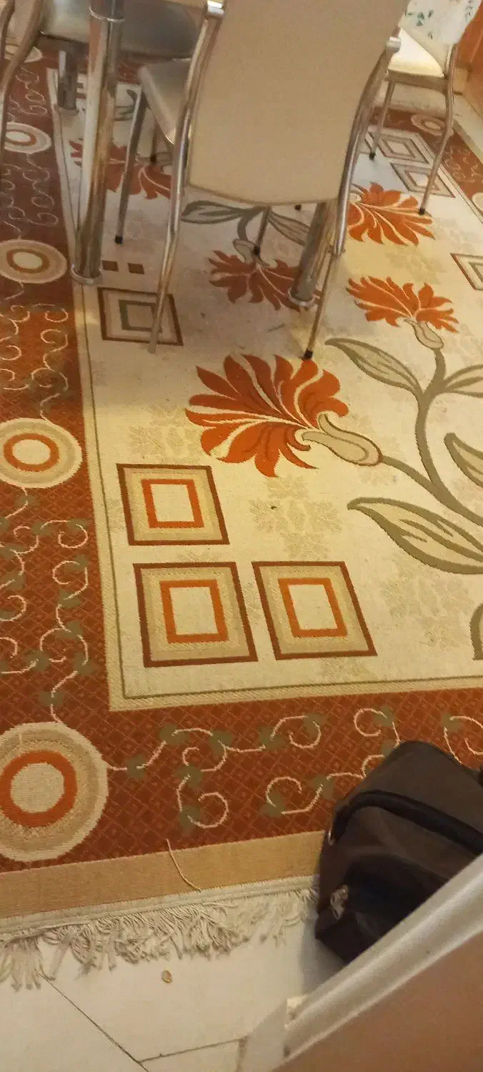 گلیم ۶ متری|گلیم، جاجیم، گبه|مشهد, فلسطین|دیوار