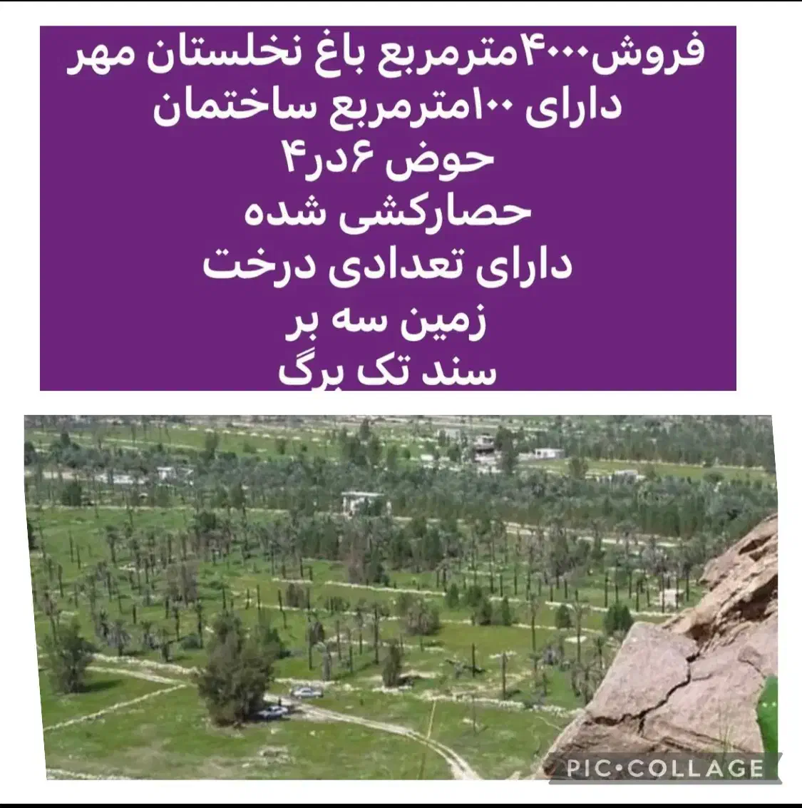 فروش باغ|فروش خانه و ویلا|مهر, |دیوار