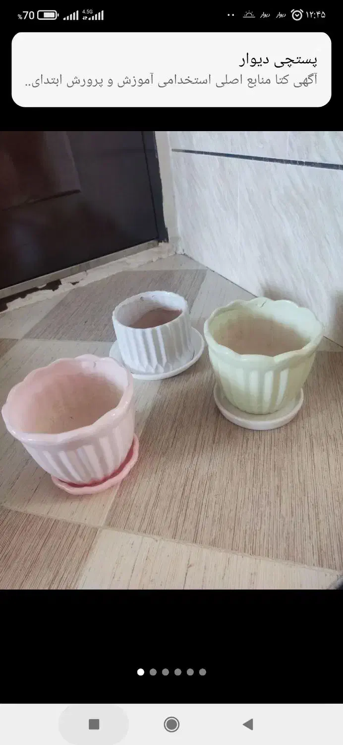 گلدان سفالی|گل و گیاه طبیعی|جیرفت, |دیوار