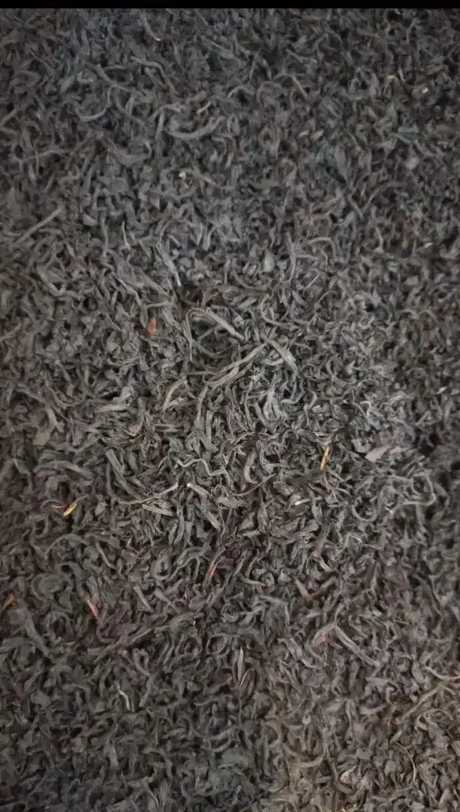 چای بهاره ممتاز لاهیجان قیمت عمده از کارخانه|خوردنی و آشامیدنی|بروجرد, |دیوار