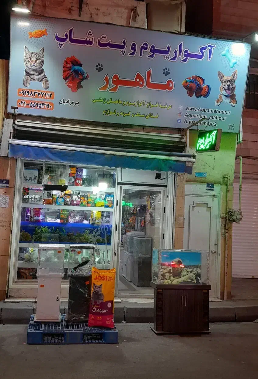 آکواریم ماهی  گوپی اسکار سیچلاید  آروانا مولی|ماهی|ری, فیروزآبادی|دیوار