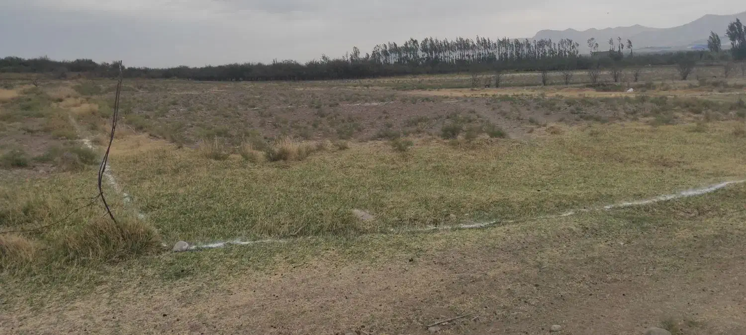 ۵ من محلی فقط ۲۵۰ میلیون فقط امروز ارزون میدم|فروش زمین و ملک کلنگی|مراغه, |دیوار