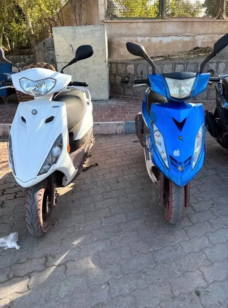 اجاره موتورسیکلت در هرمز|موتورسیکلت|هرمز, |دیوار