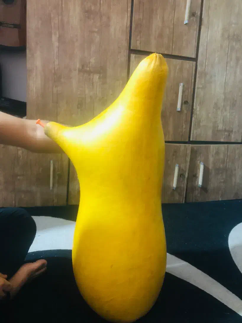 نی انبان|سازهای بادی|خرمشهر, |دیوار