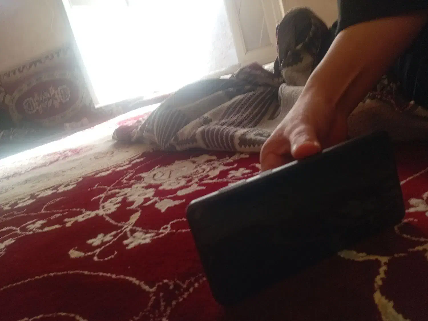 گوشی سامسونگ|موبایل|سراب, |دیوار