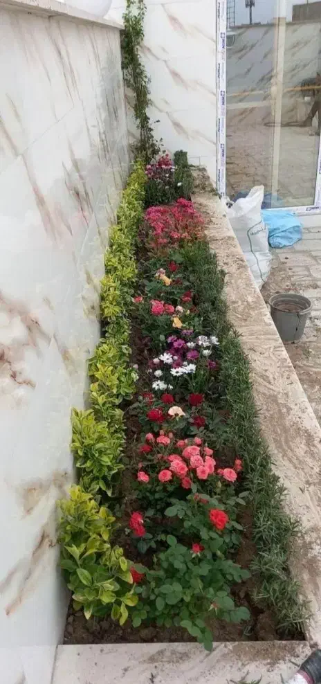 باغبان،باغبانی حرفه ای|خدمات باغبانی و درختکاری|قم, زنبیل آباد|دیوار