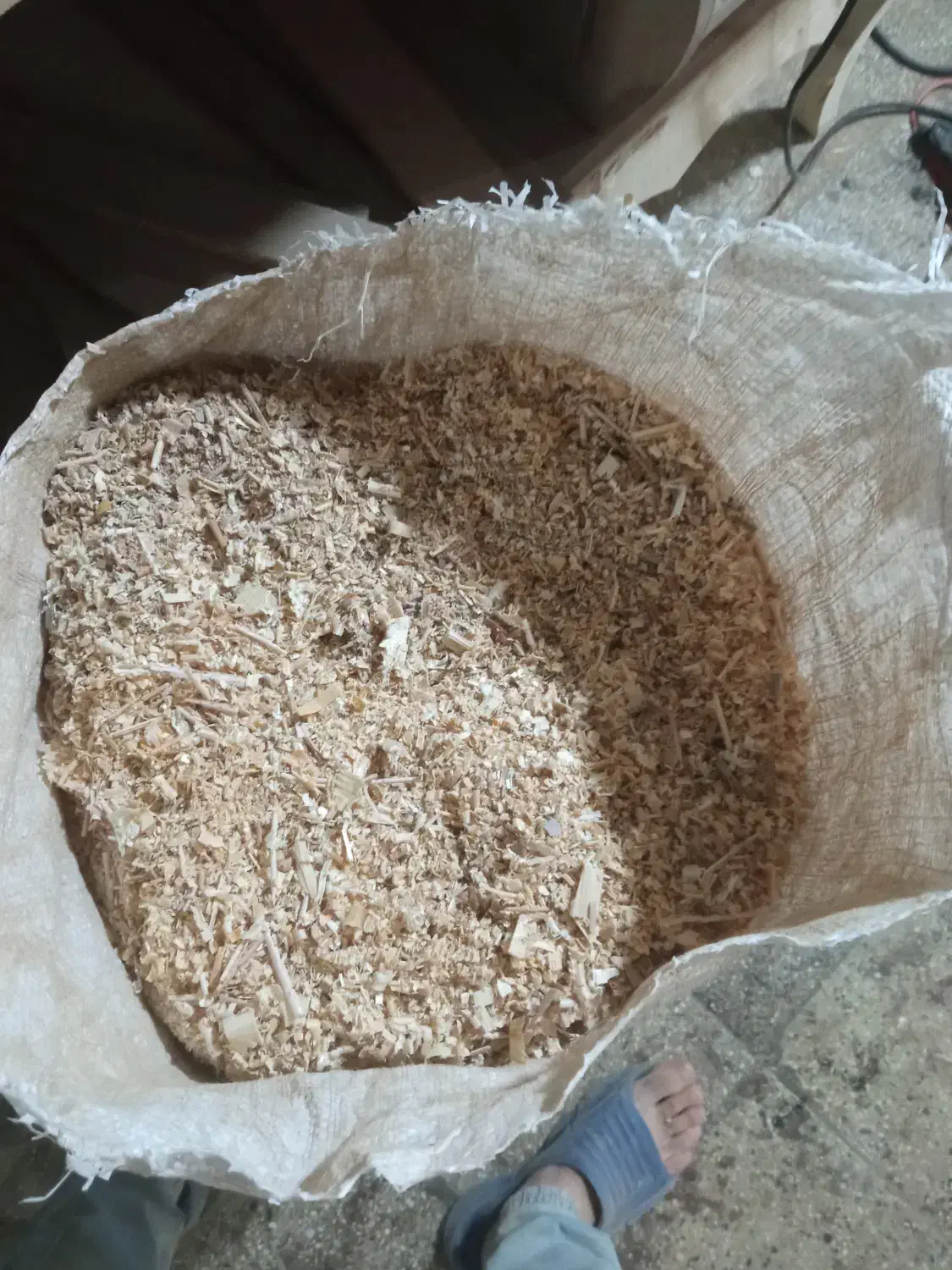 پوشال|لوازم جانبی حیوانات|بومهن, |دیوار