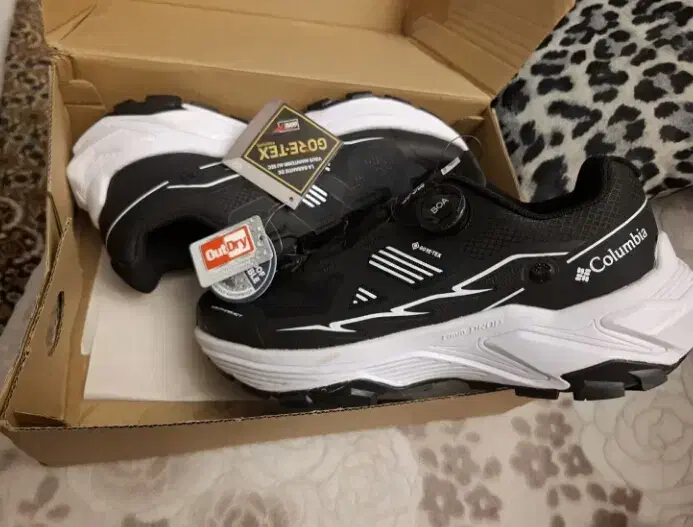 کفش مارک خارجی|کیف، کفش، کمربند|تهران, شهرک امام خمینی|دیوار