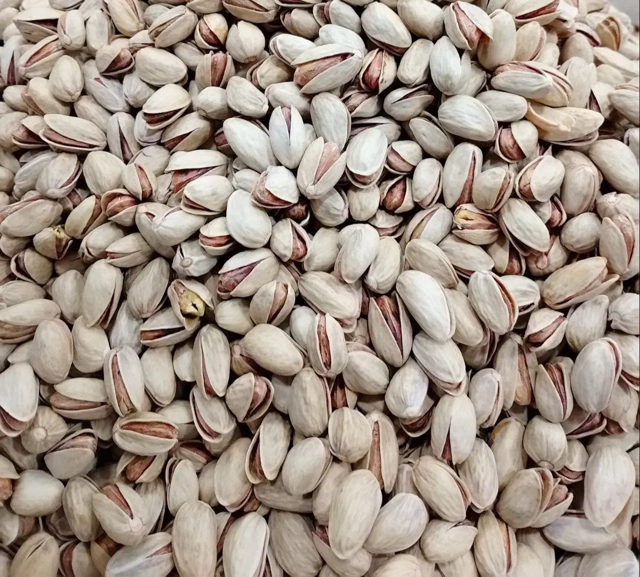 پسته عالیی|خوردنی و آشامیدنی|ساری, |دیوار