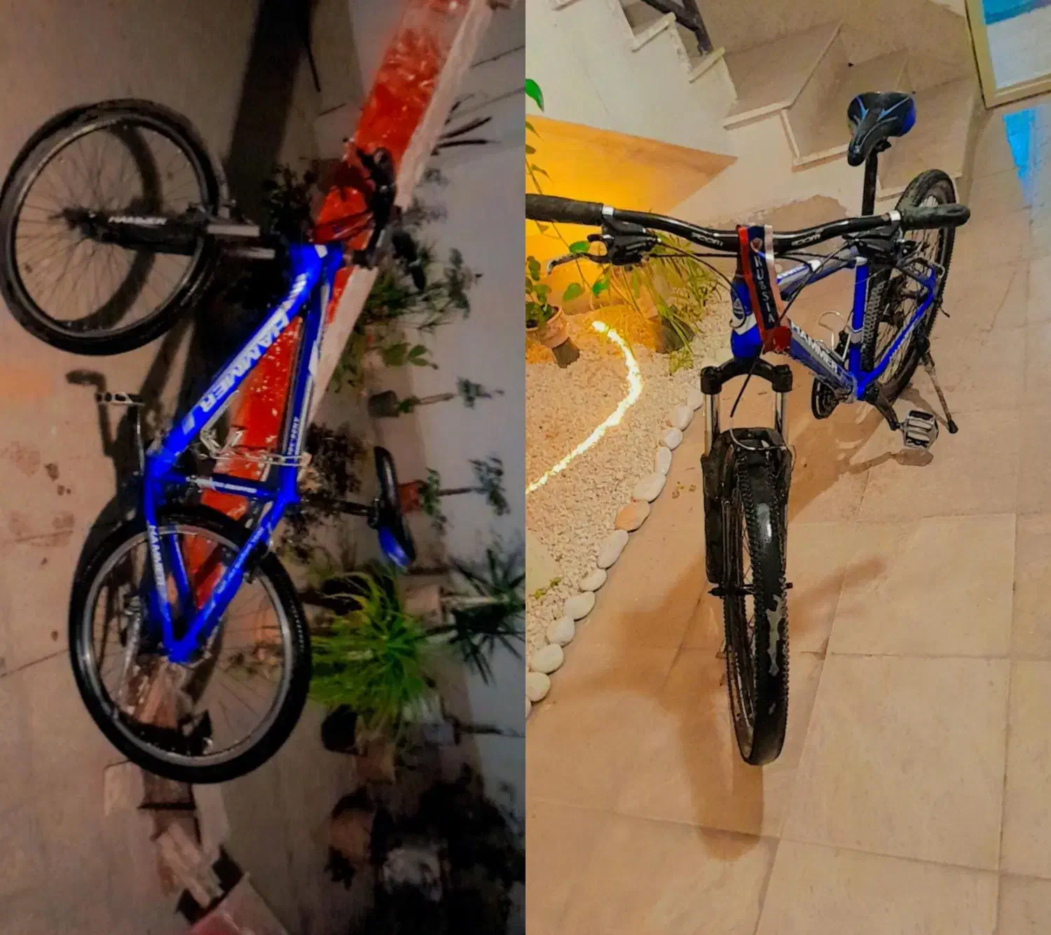 دوچرخه|دوچرخه، اسکیت، اسکوتر|پردیس, فاز ۸|دیوار