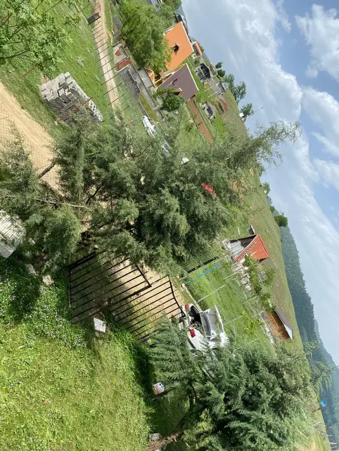 ۳۰۰متر زمین بنا ۱۰۰متر|فروش خانه و ویلا|رضوانشهر, |دیوار