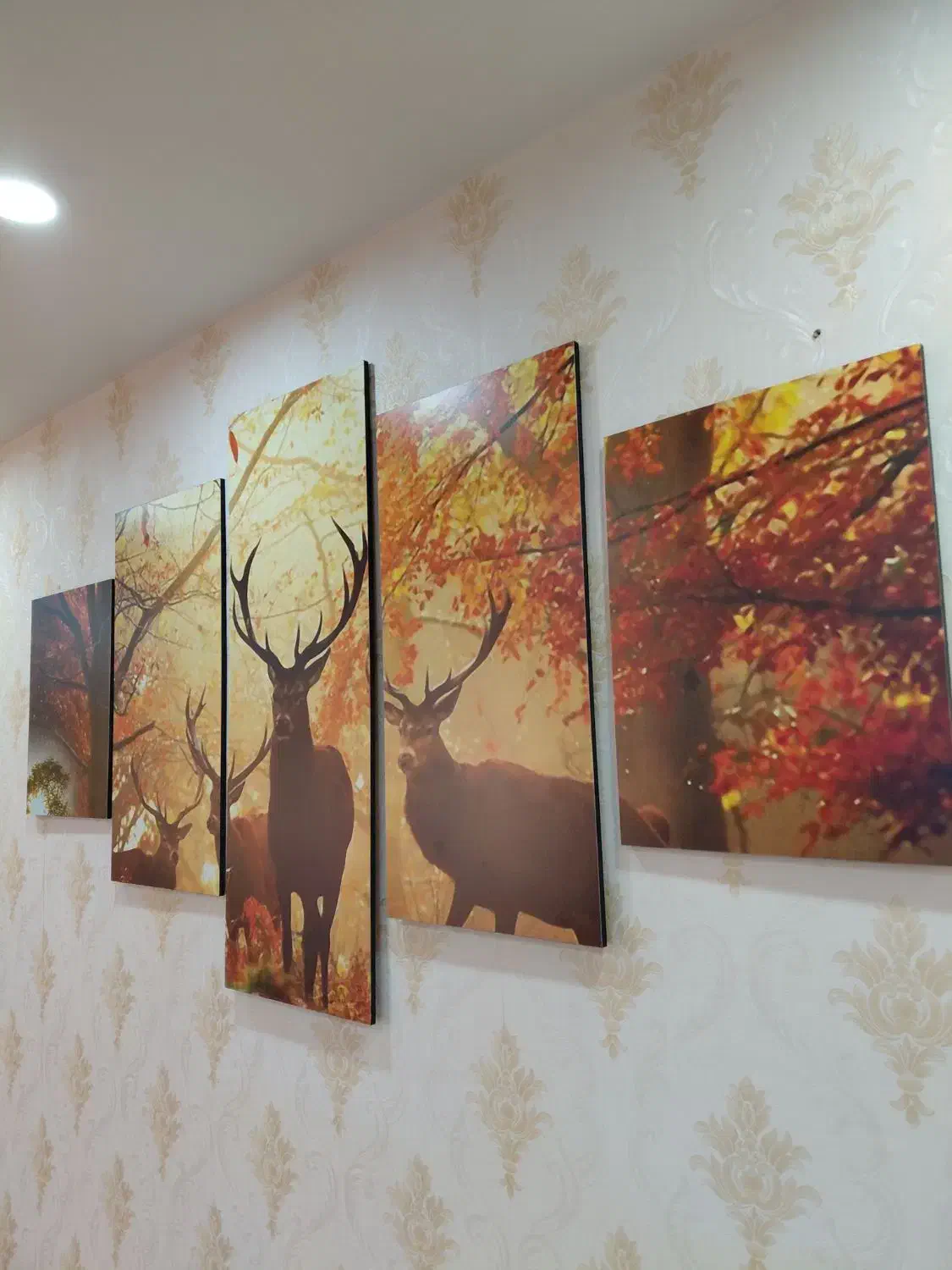 دو دست تابلو پازلی دکوراتیو|تابلو، نقاشی، عکس|بندر انزلی, ساحل قو|دیوار