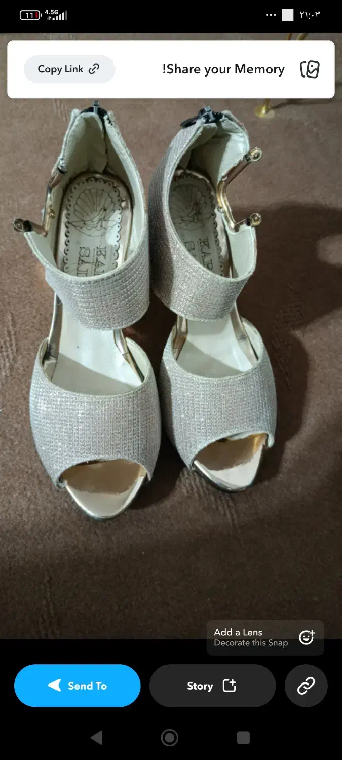 کفش مجلسی زنانه|کیف، کفش، کمربند|میانه, |دیوار