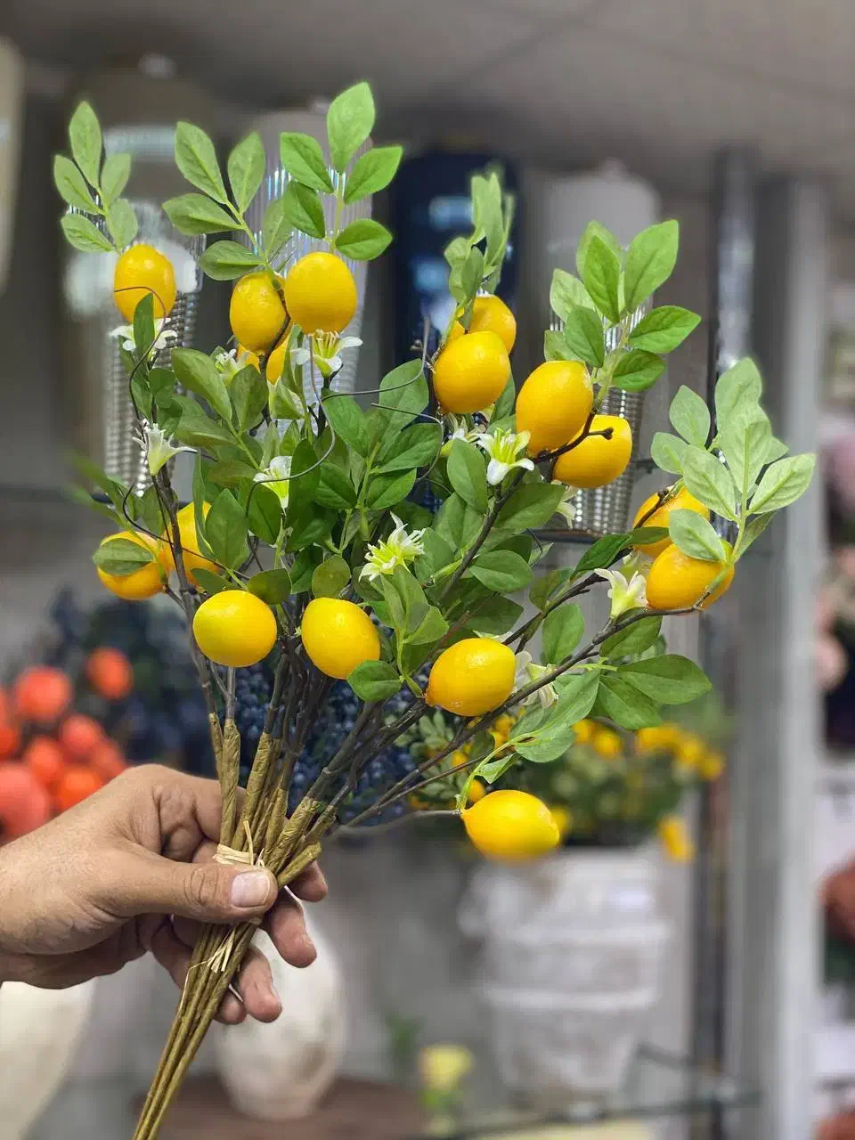 شاخه لیمو کوتاه وارداتی|گل و گیاه طبیعی|لاهیجان, آهندان|دیوار