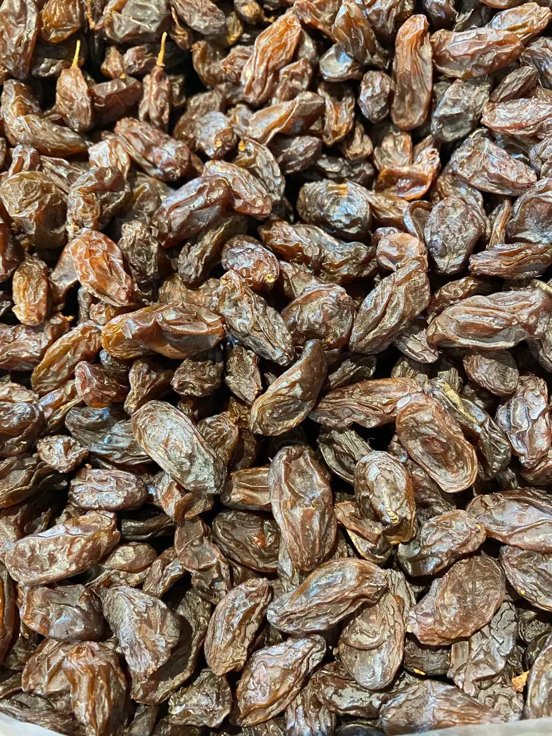 مویز رطبی و کشمش|خوردنی و آشامیدنی|شیراز, قلات|دیوار