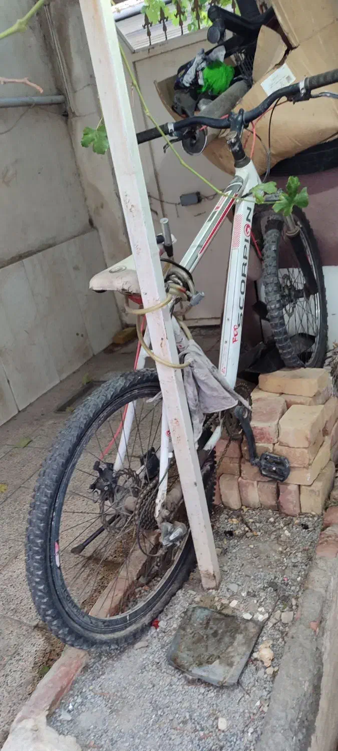 دوچرخه ۲۶|دوچرخه، اسکیت، اسکوتر|قدس, شهر‌قدس|دیوار