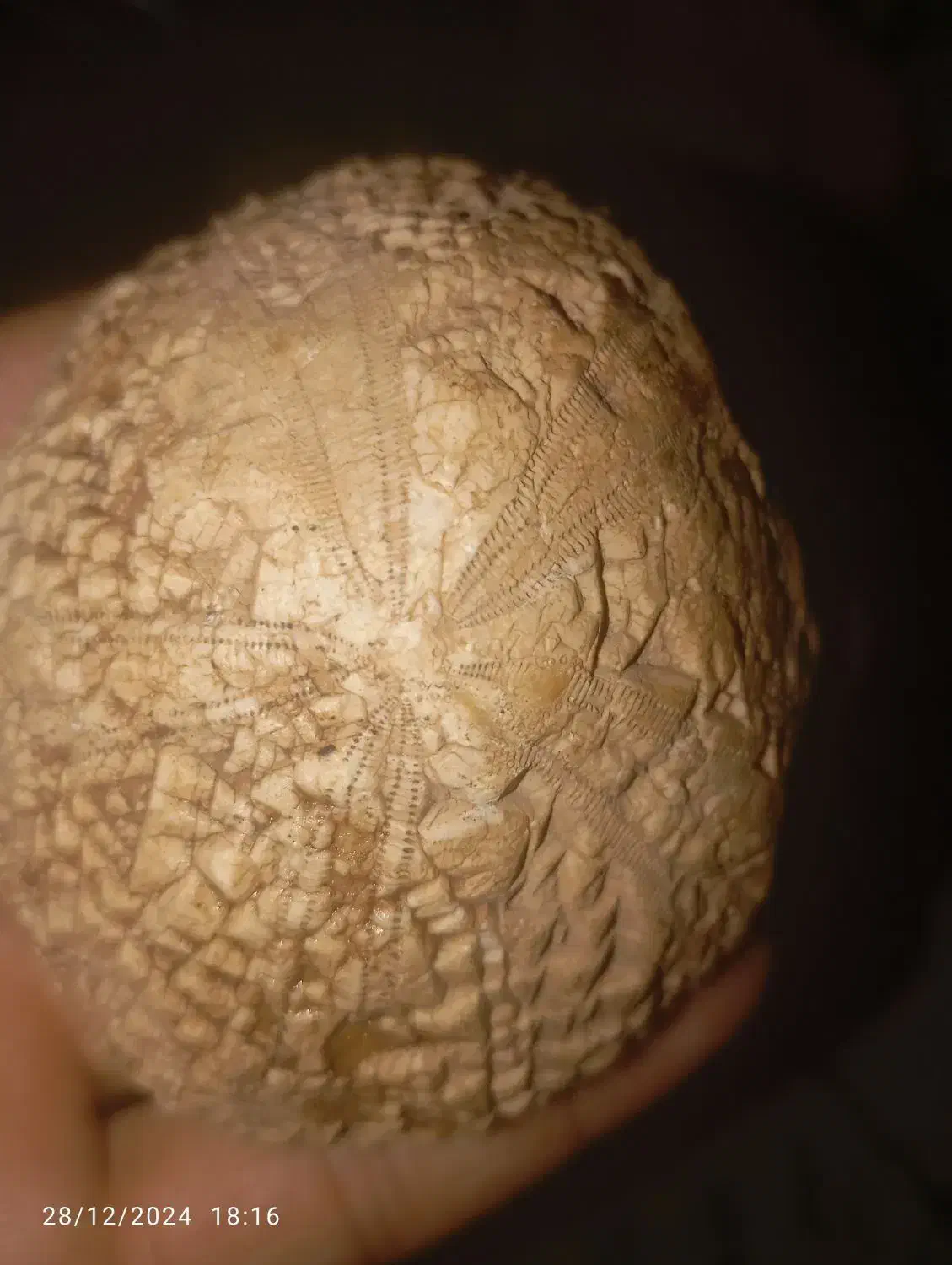 سنگ قیمتی|کلکسیون اشیاء عتیقه|نورآباد, |دیوار