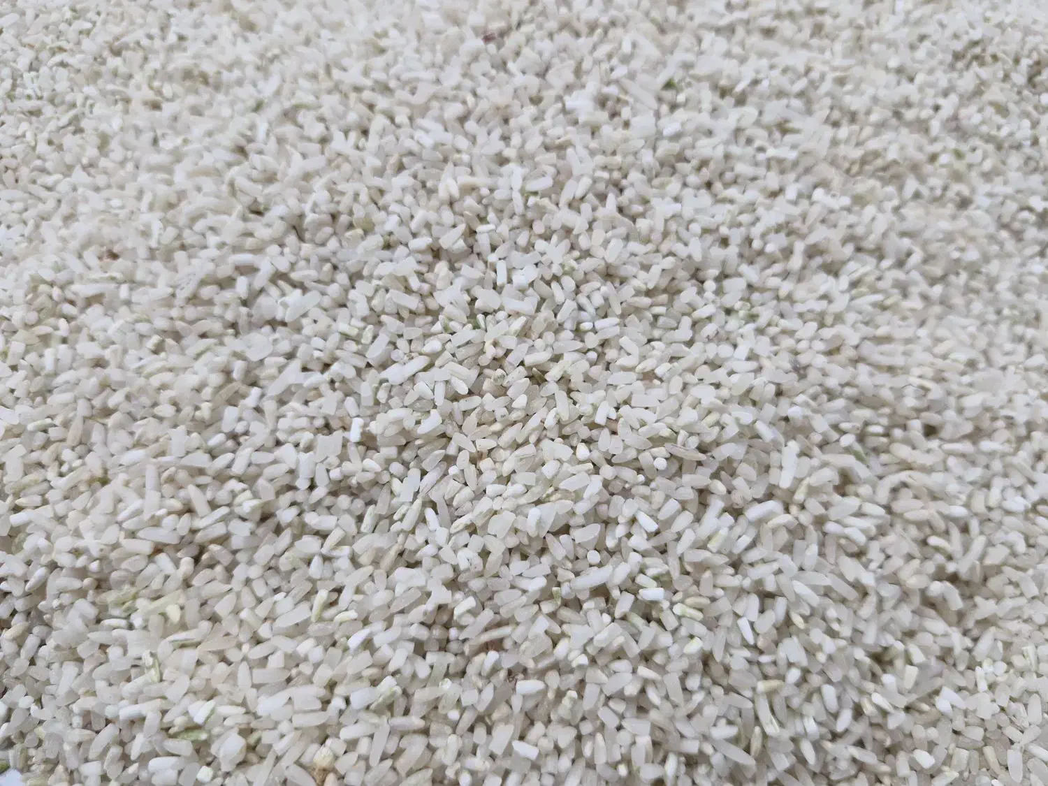 خرده برنج فجر نورآباد ممسنی|خوردنی و آشامیدنی|شیراز, شهرک گلستان|دیوار