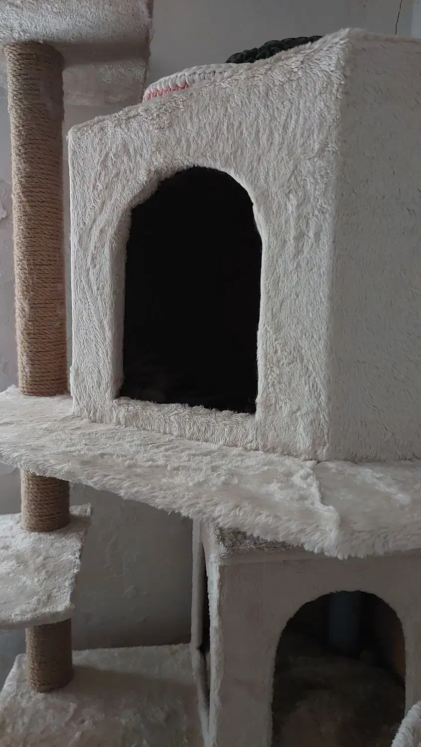 درخت گربه|لوازم جانبی حیوانات|لاهیجان, فیاض|دیوار