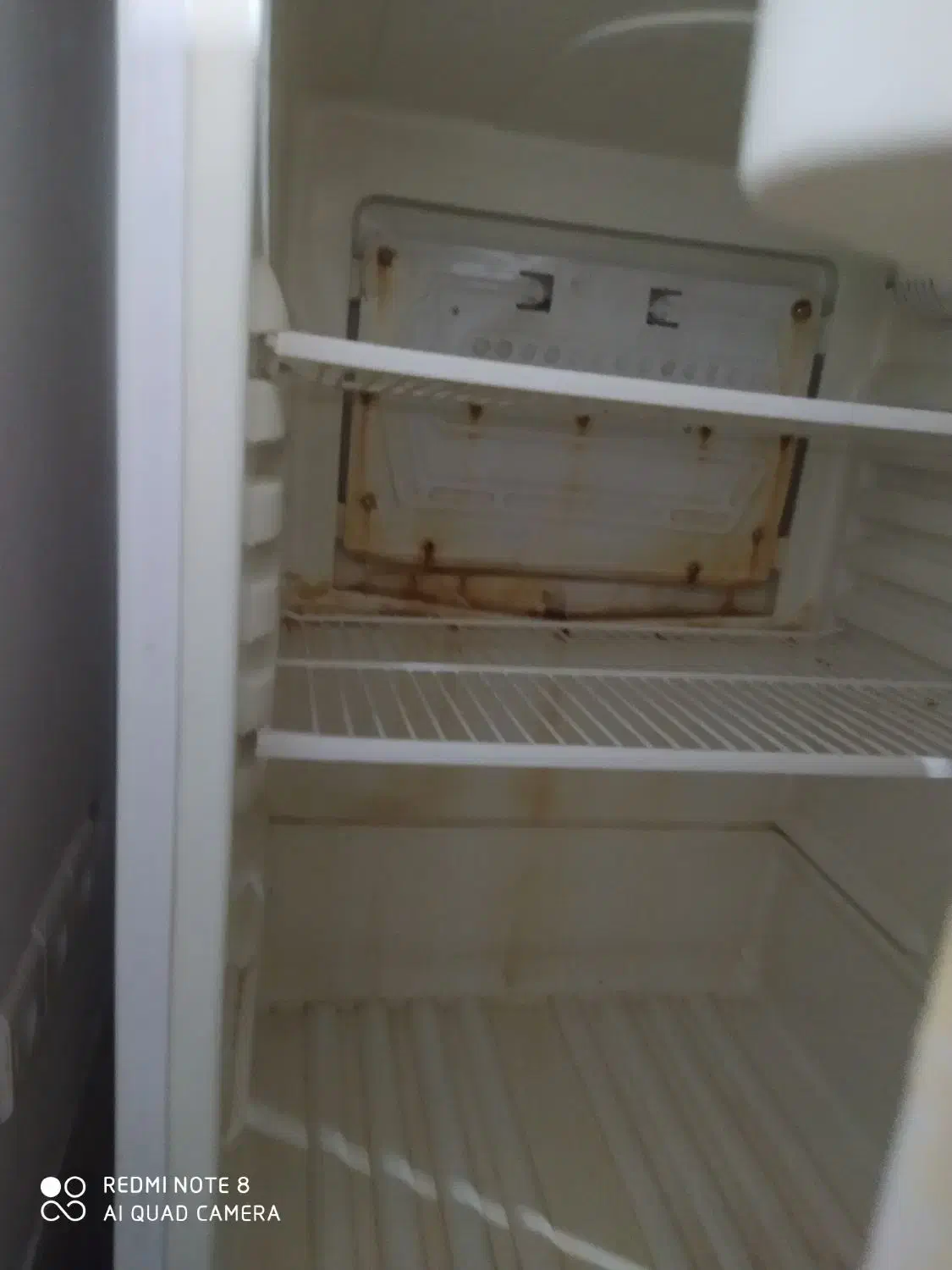 یخچال درحدنوتمیز|یخچال و فریزر|طبس, |دیوار