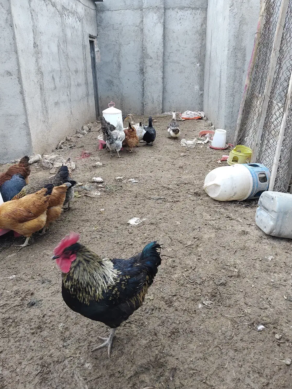 اجاره کارگاه|اجارهٔ دفتر صنعتی، کشاورزی، تجاری|اسلام‌شهر, شهرک امام حسین (میان آباد)|دیوار