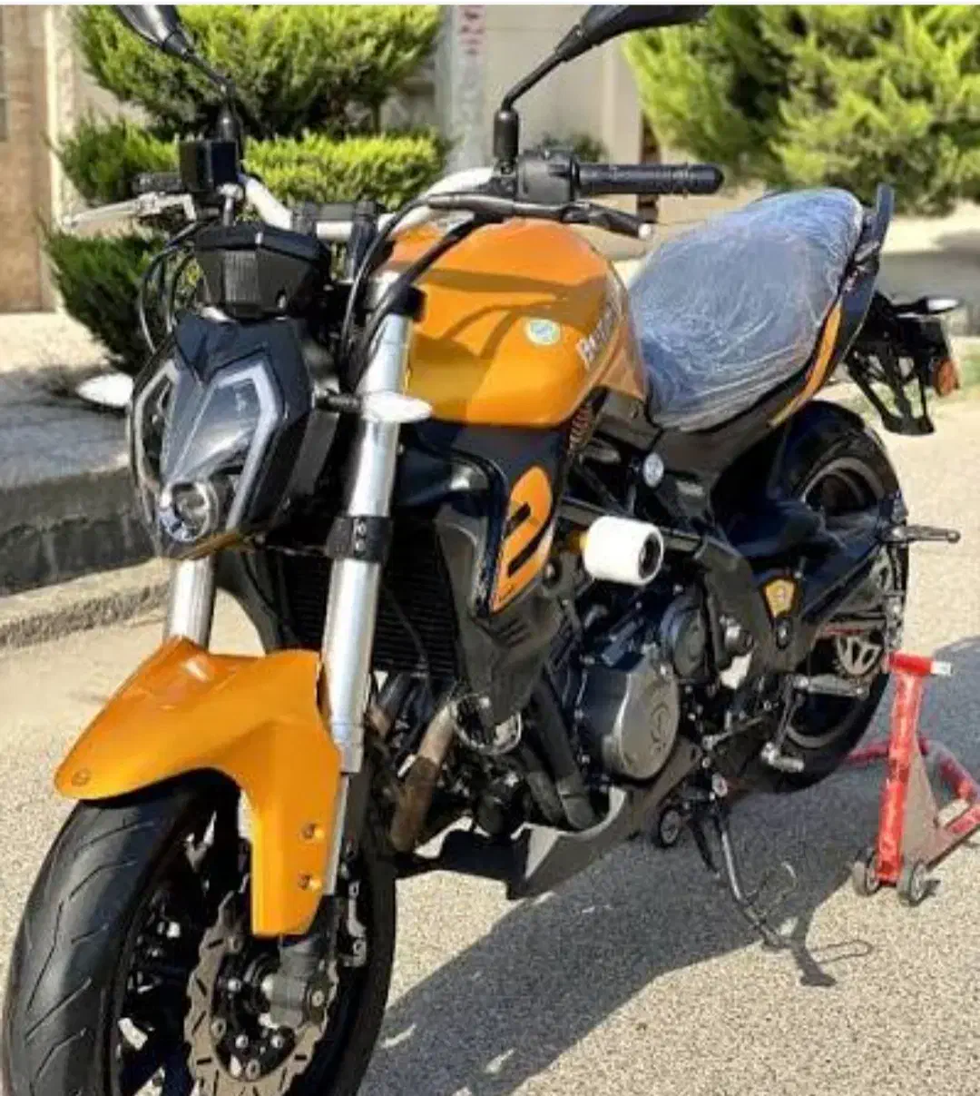 بنلی 300جفت سیلندر|موتورسیکلت|شیراز, کلاهدوز|دیوار