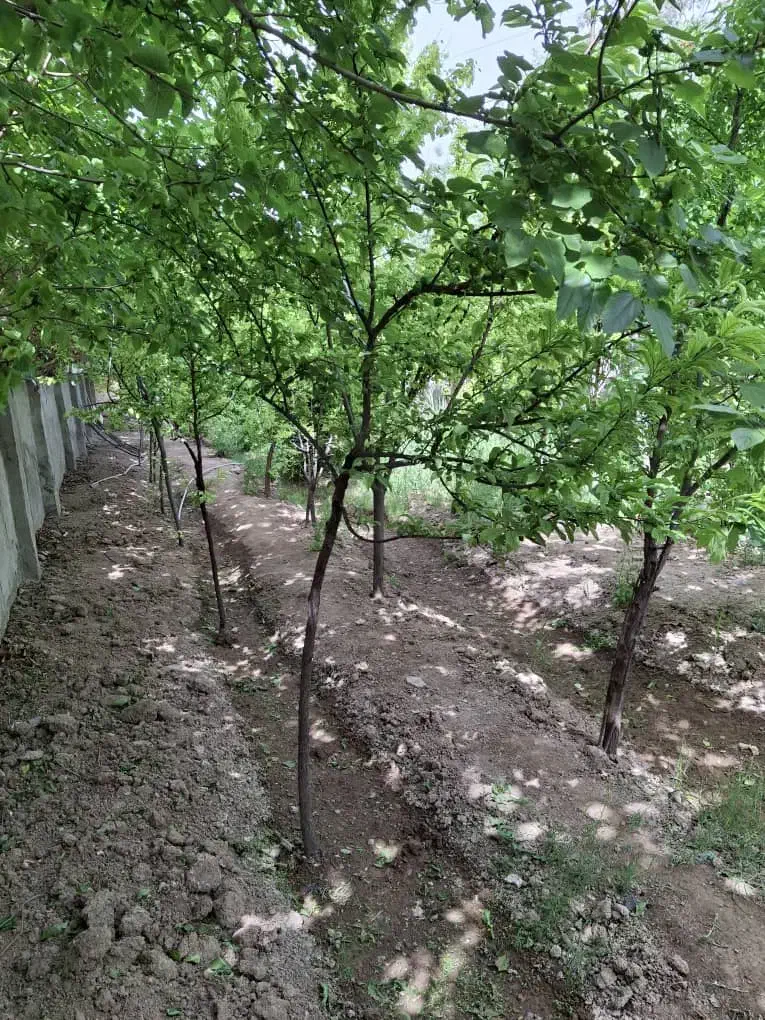 باغچه شهرری گلحصار( فروش رهن اجاره)|اجارهٔ خانه و ویلا|باقرشهر, |دیوار