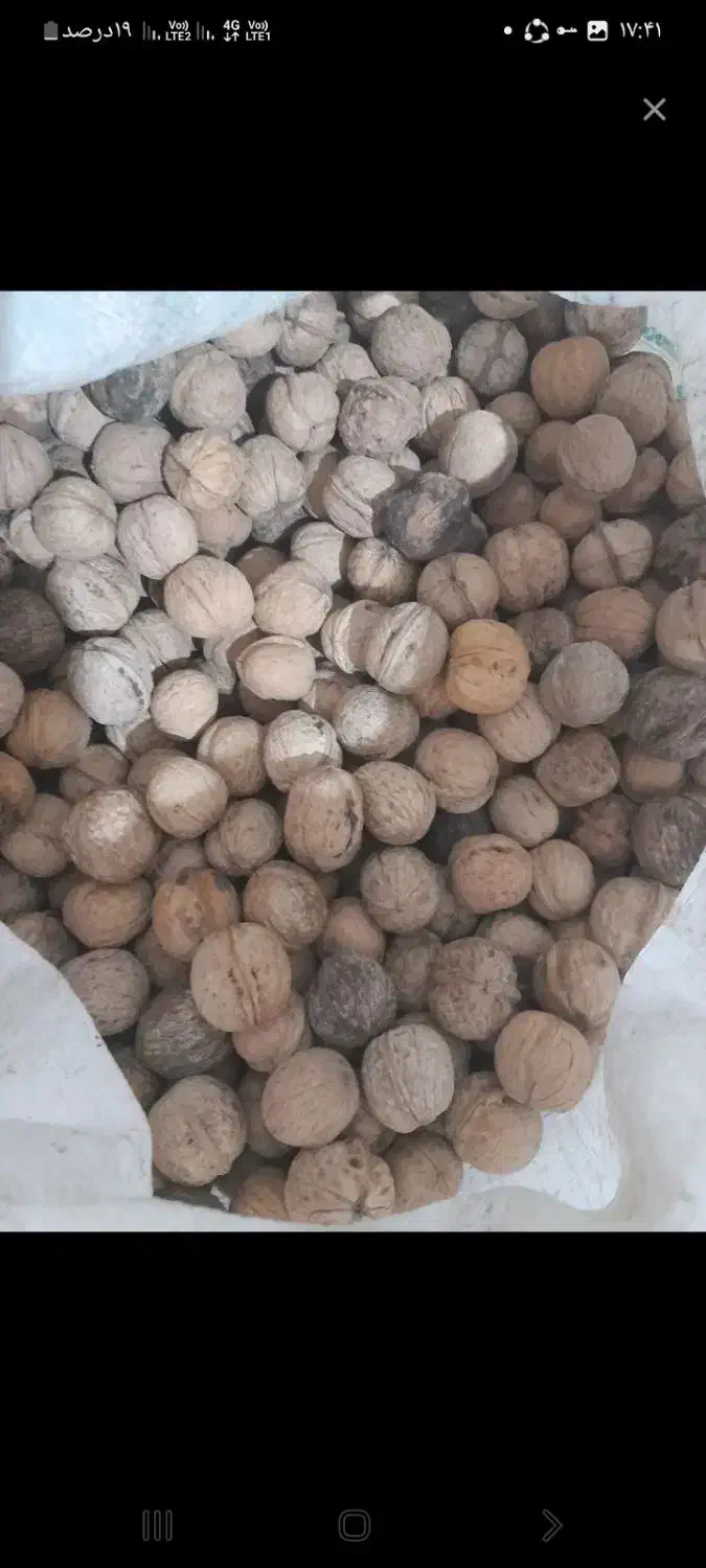 بادام و گردو وابغوره و سرکه محلی|خوردنی و آشامیدنی|سبزوار, هویزه|دیوار