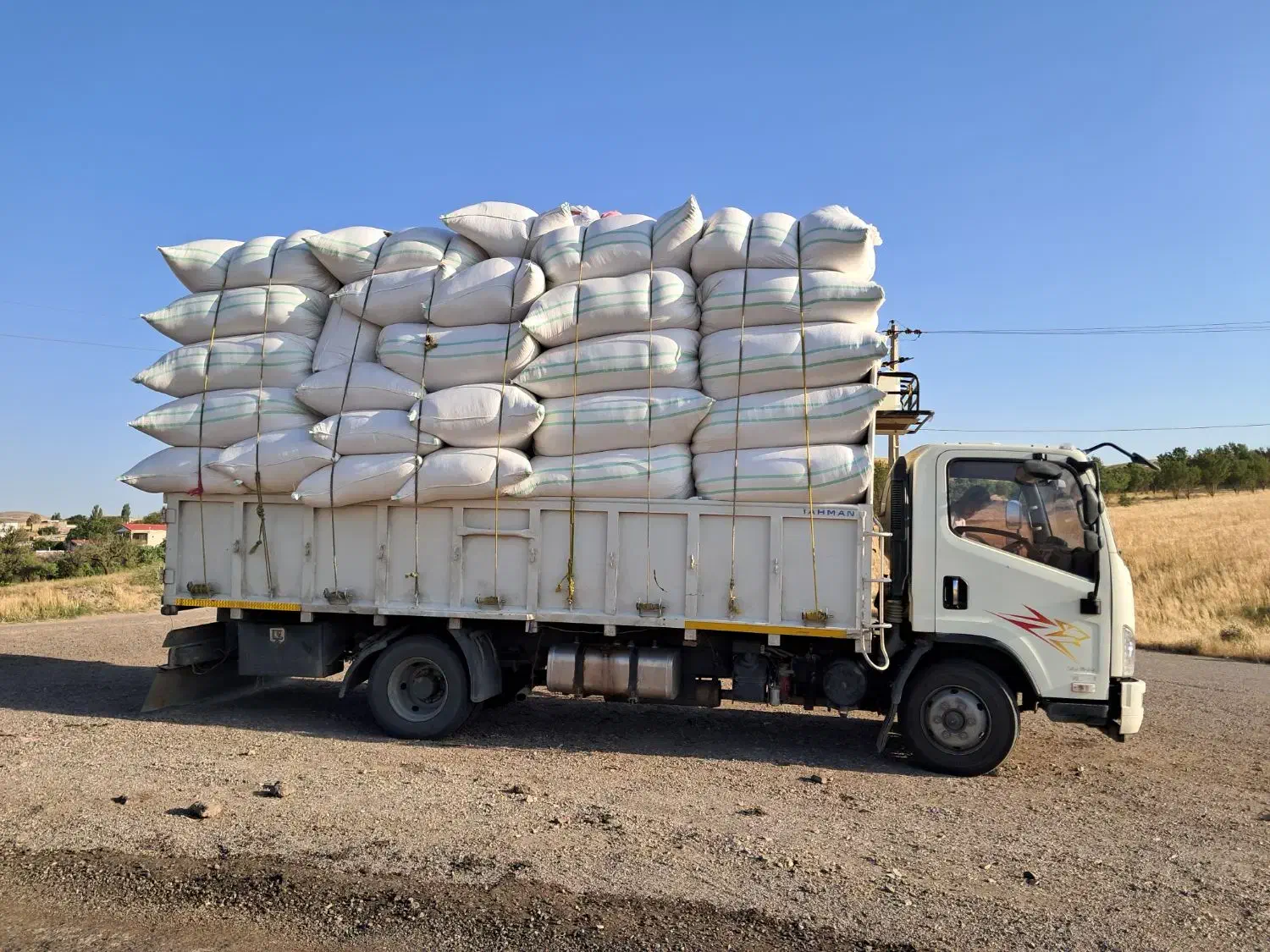 فروش کآه گندم|خدمات باغبانی و درختکاری|سمنان, |دیوار