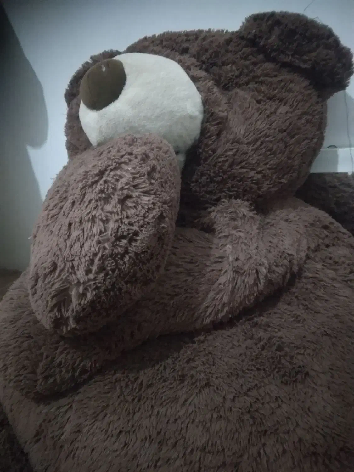 خرس قهو های دومتری|اسباببازی بچه|امیرکلا, |دیوار