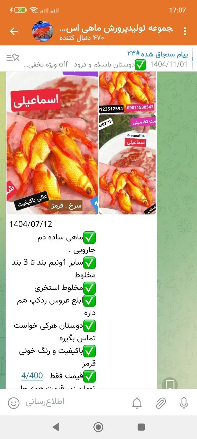 تلسکپی|ماهی|قم, دورشهر|دیوار