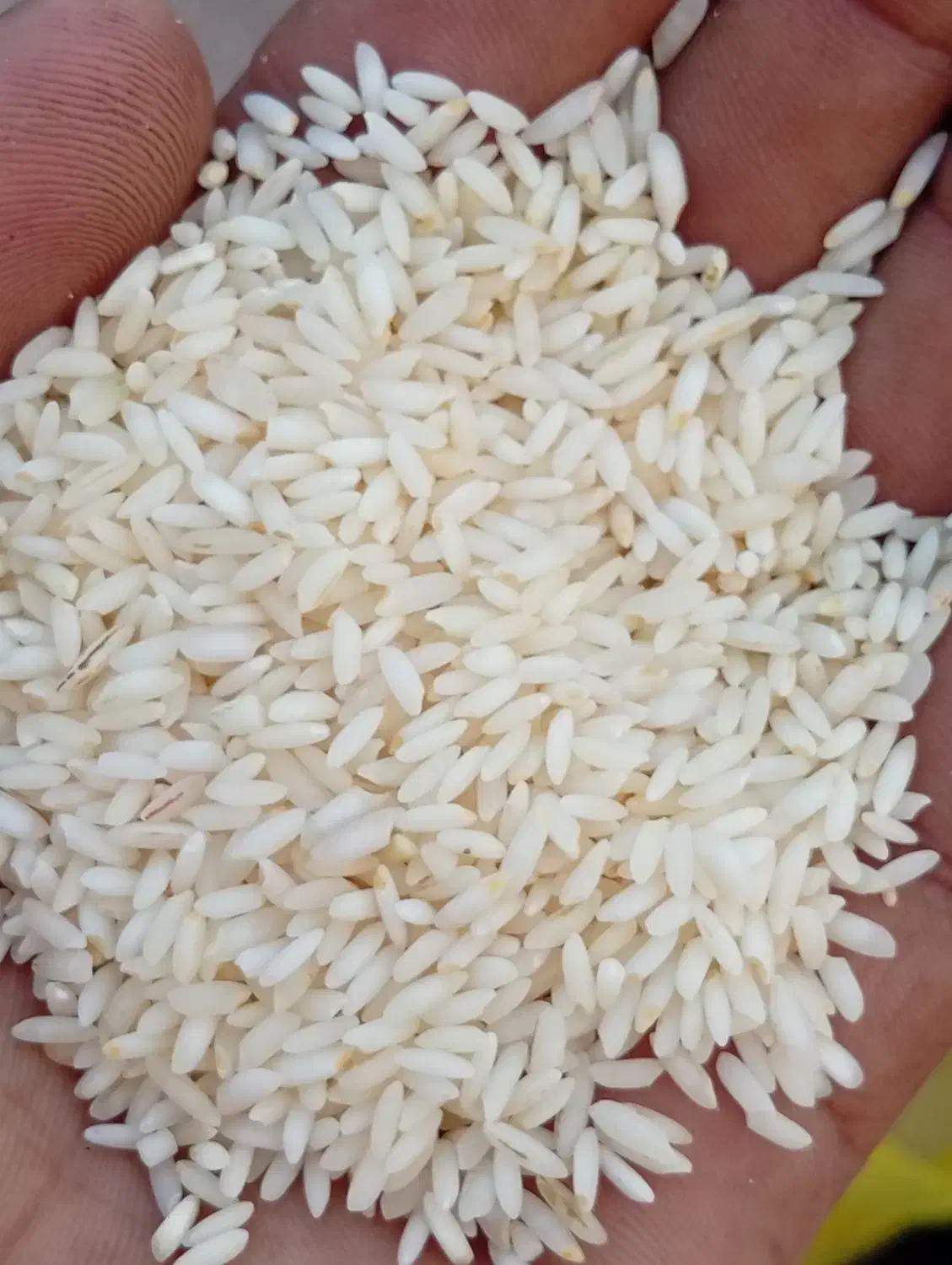 عنبربو|خوردنی و آشامیدنی|دزفول, |دیوار