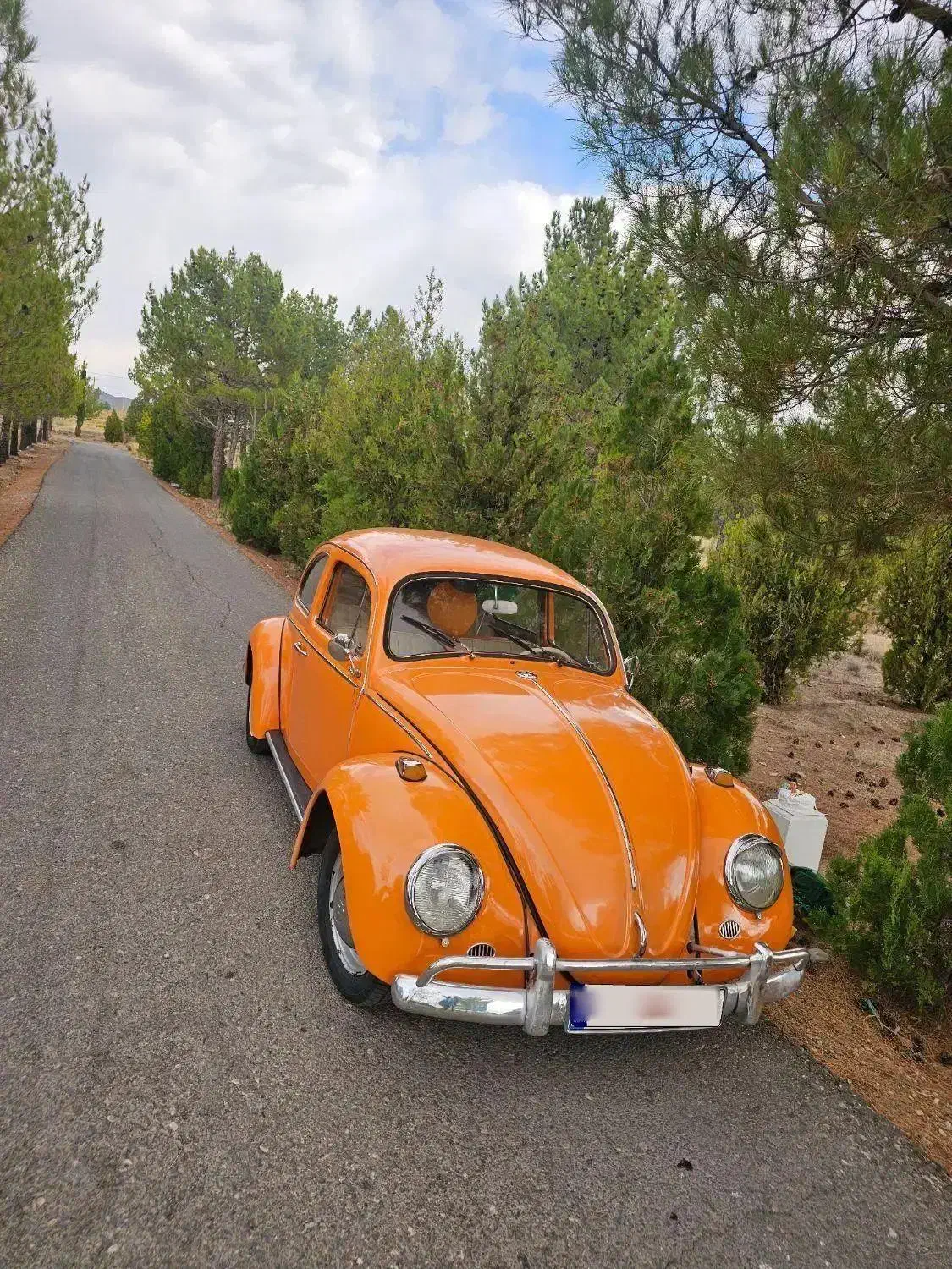 فولوکس|خودرو کلاسیک|کرمان, |دیوار