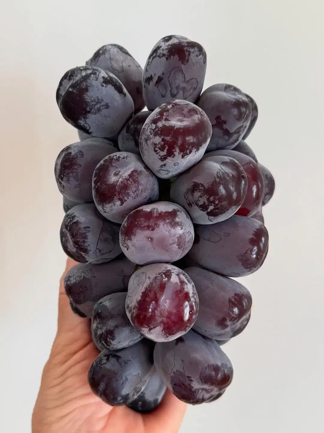 آزمایشگاه و آنالیز  فنی خاک باغ ،نهالستان ، مزرعه|خدمات باغبانی و درختکاری|تهران, شهرک چیتگر|دیوار