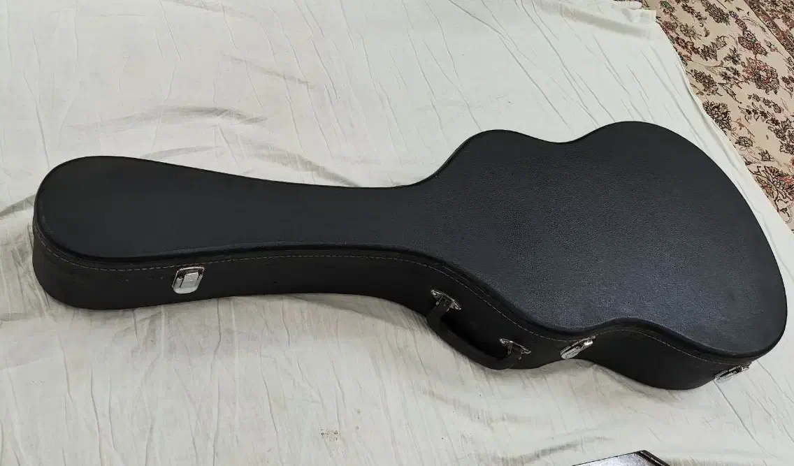 کاور چمدانی گیتار|گیتار، بیس، امپلیفایر|کاشان, کوی اداره گاز|دیوار