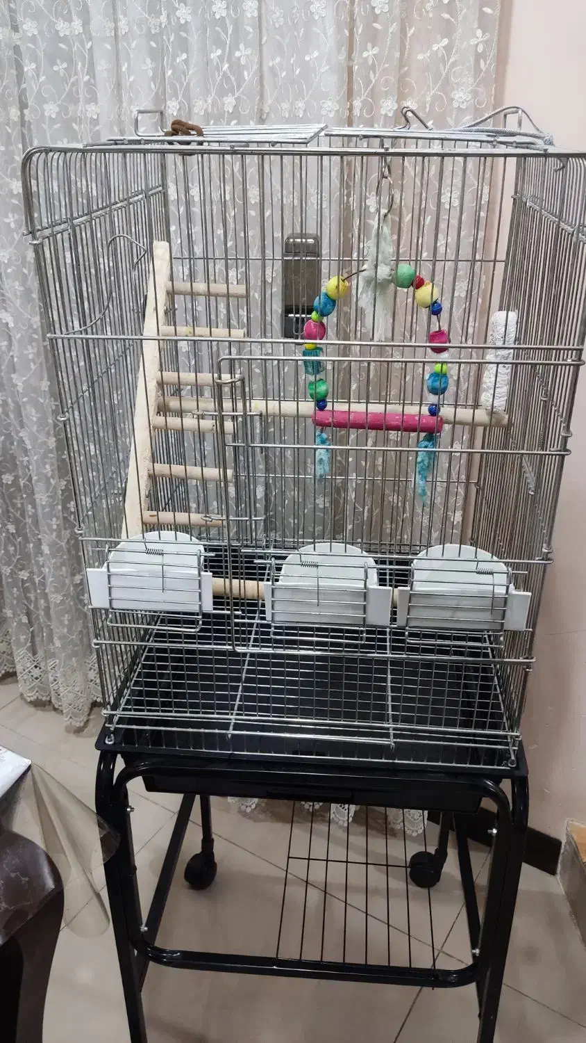 قفس پرنده|لوازم جانبی حیوانات|اهواز, زیتون کارمندی|دیوار