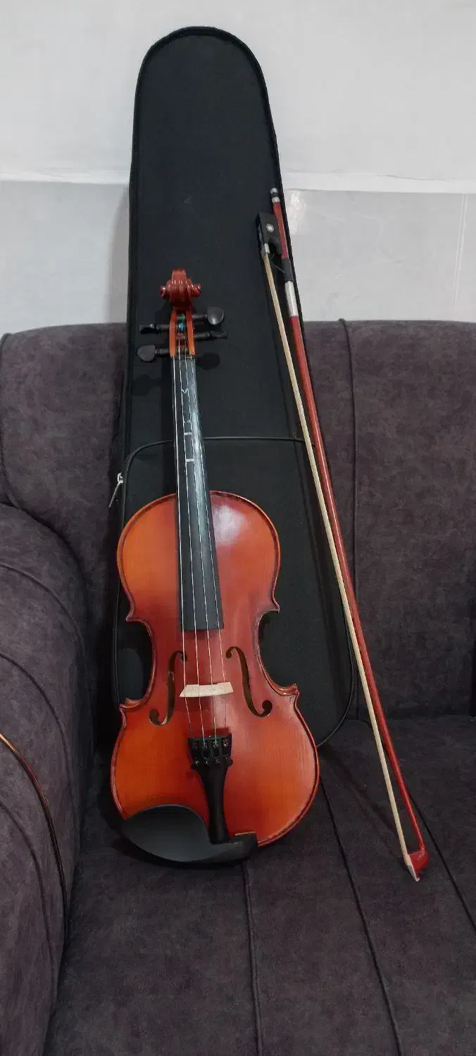 ویالون|ویولن|شیراز, گلکوب|دیوار